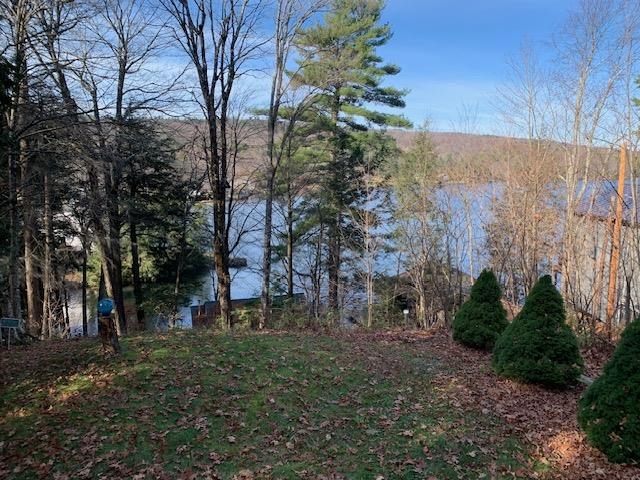 60 Wheatley Road Hinesburg, VT 05461 - Photo 40 of 51 Gallery Image 40