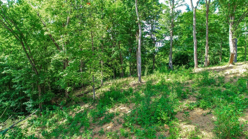 1278 Rankin Hill Road Newport, TN 37821 - Photo 23 of 28 Gallery Image 23