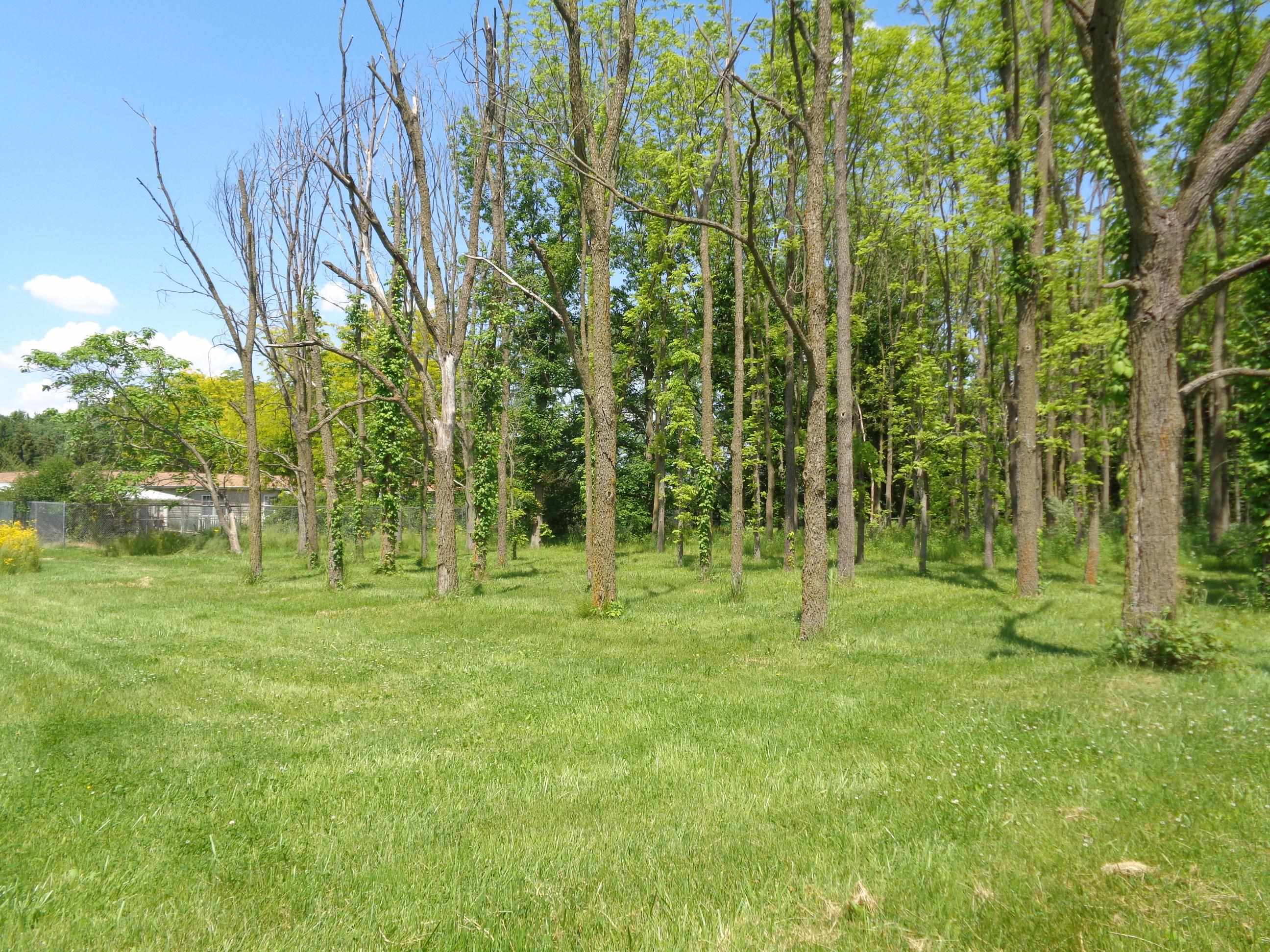 12032 Johnson Road Churubusco, IN 46723 - Photo 24 of 24