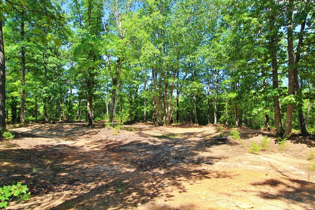 Community Road, Unit 364 Gladstone, VA 24553 - Photo 8 of 13 Gallery Image 8