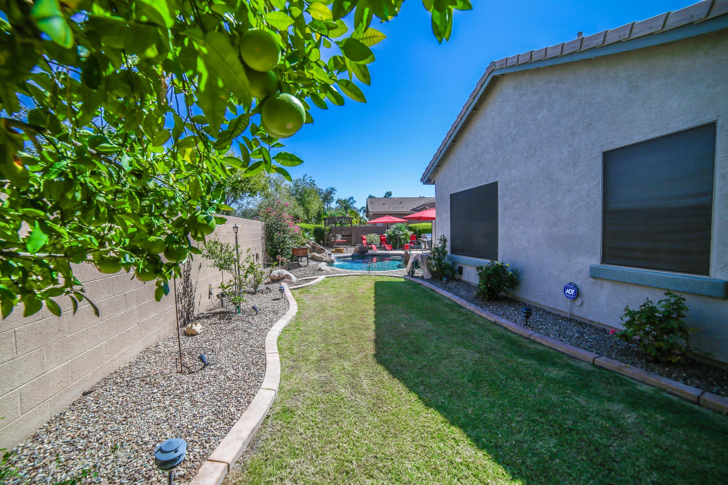 4156 East Patrick Street Gilbert, AZ 85295 - Photo 11 of 68 Patrick-15