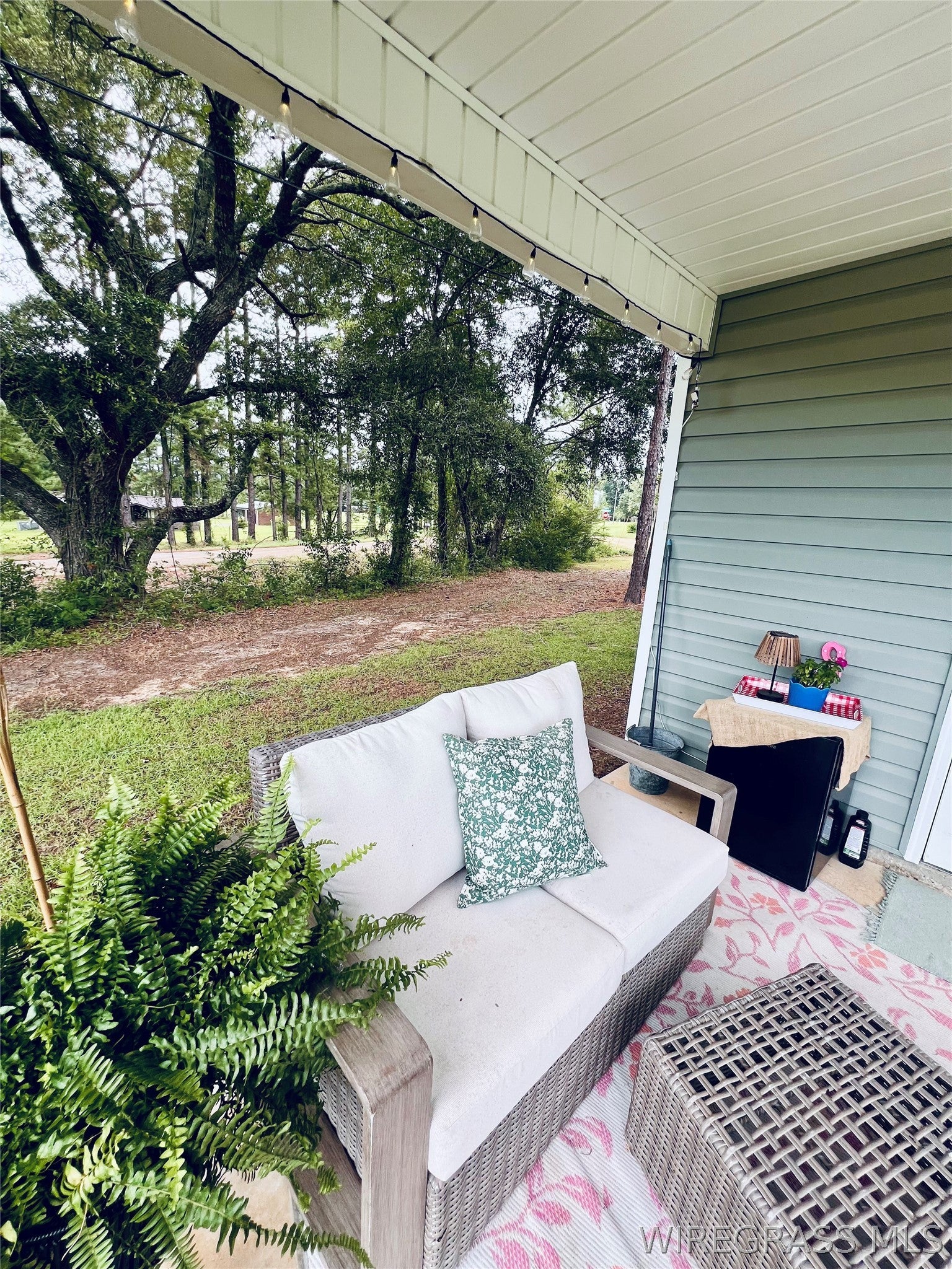24 Edwin Reynolds Road Cottonwood, AL 36320 - Photo 37 of 37 Gallery Image 37