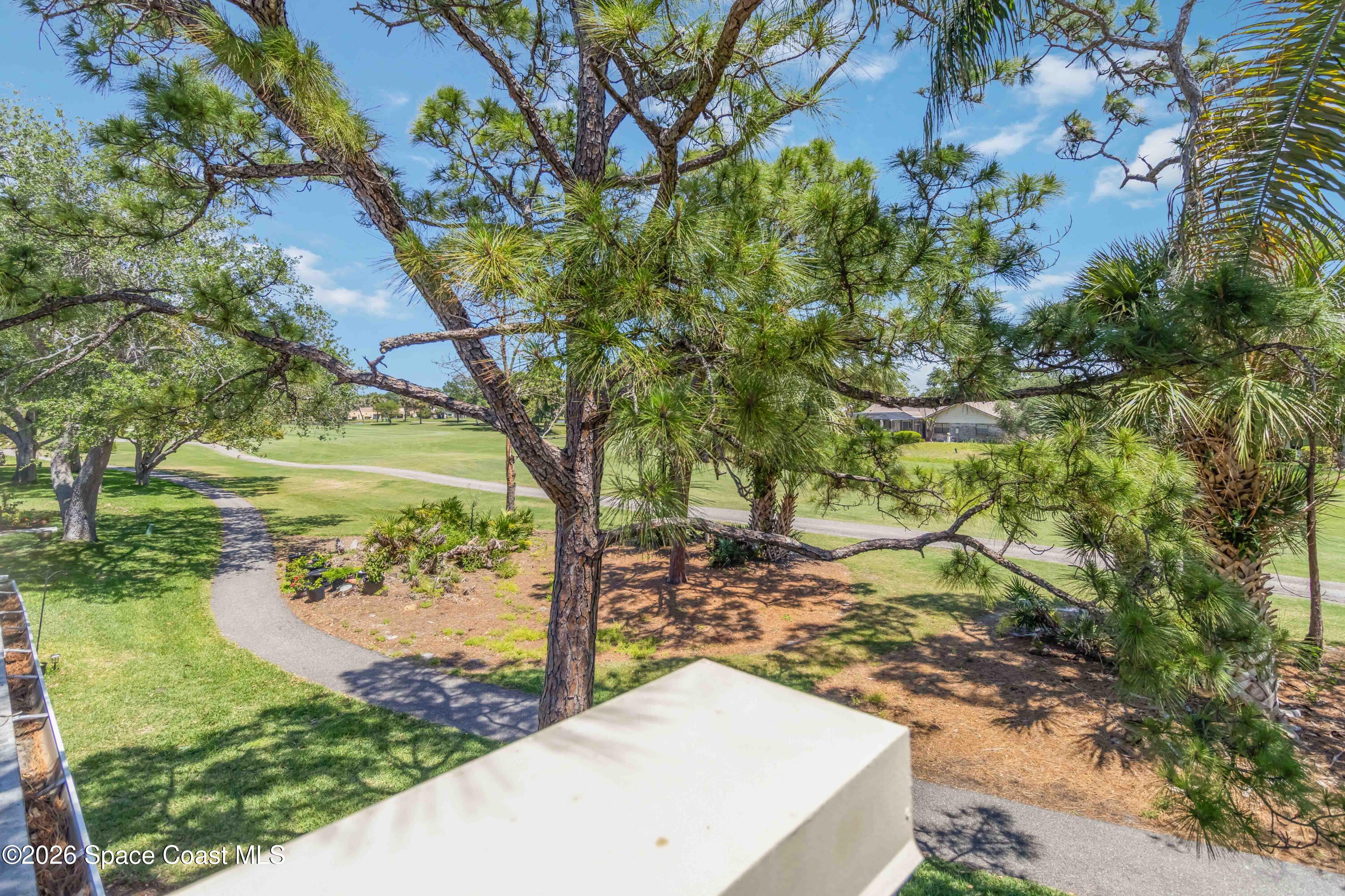 227 Augusta Way Melbourne, FL 32940 - Photo 23 of 38 a view of a yard with plants and a large tree
