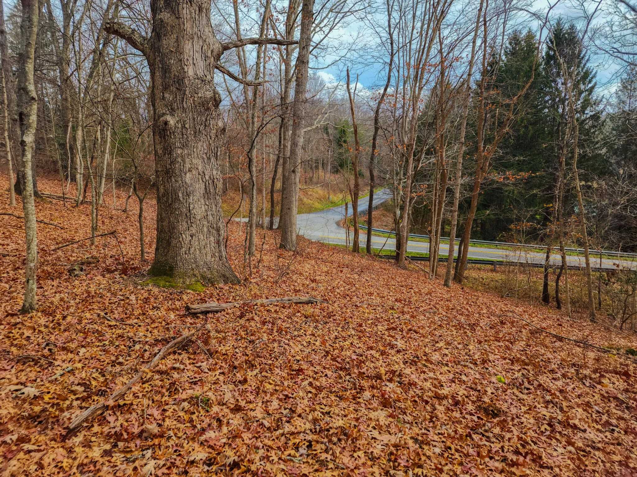 3763 Potomac River Road Monterey, VA 24465 - Photo 17 of 23 a backyard of a house with lots of green space