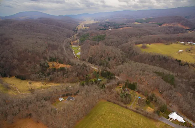 a view of outdoor space and tree