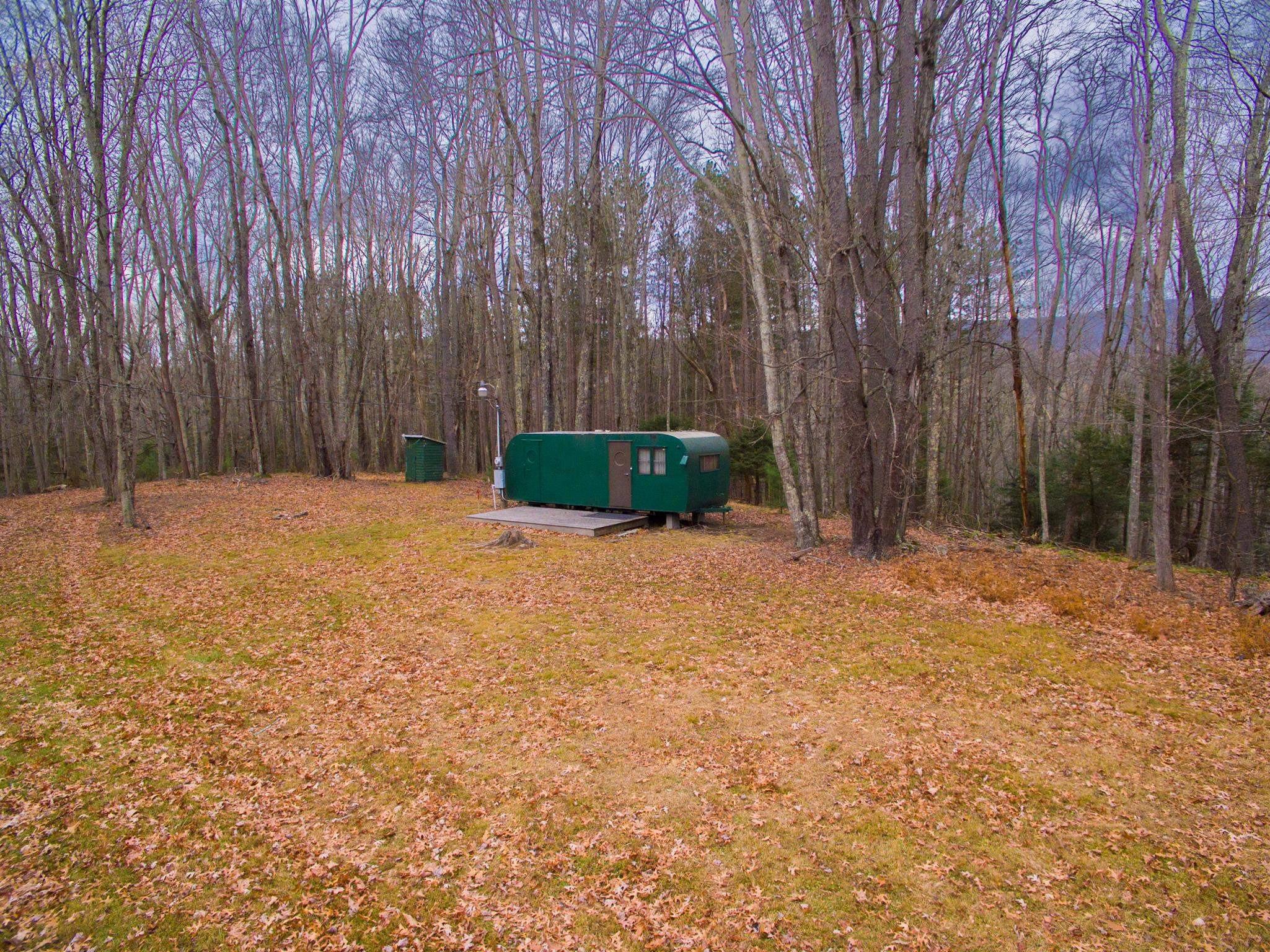 3763 Potomac River Road Monterey, VA 24465 - Photo 22 of 23 a backyard of a house with a large tree
