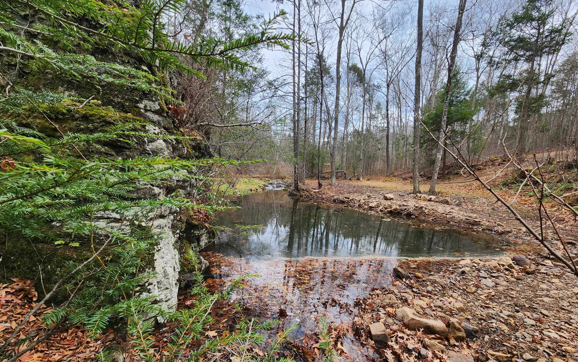 3763 Potomac River Road Monterey, VA 24465 - Photo 3 of 23 a view of lake with a yard