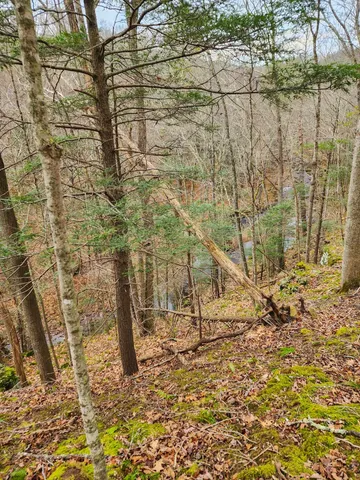 a backyard of a building