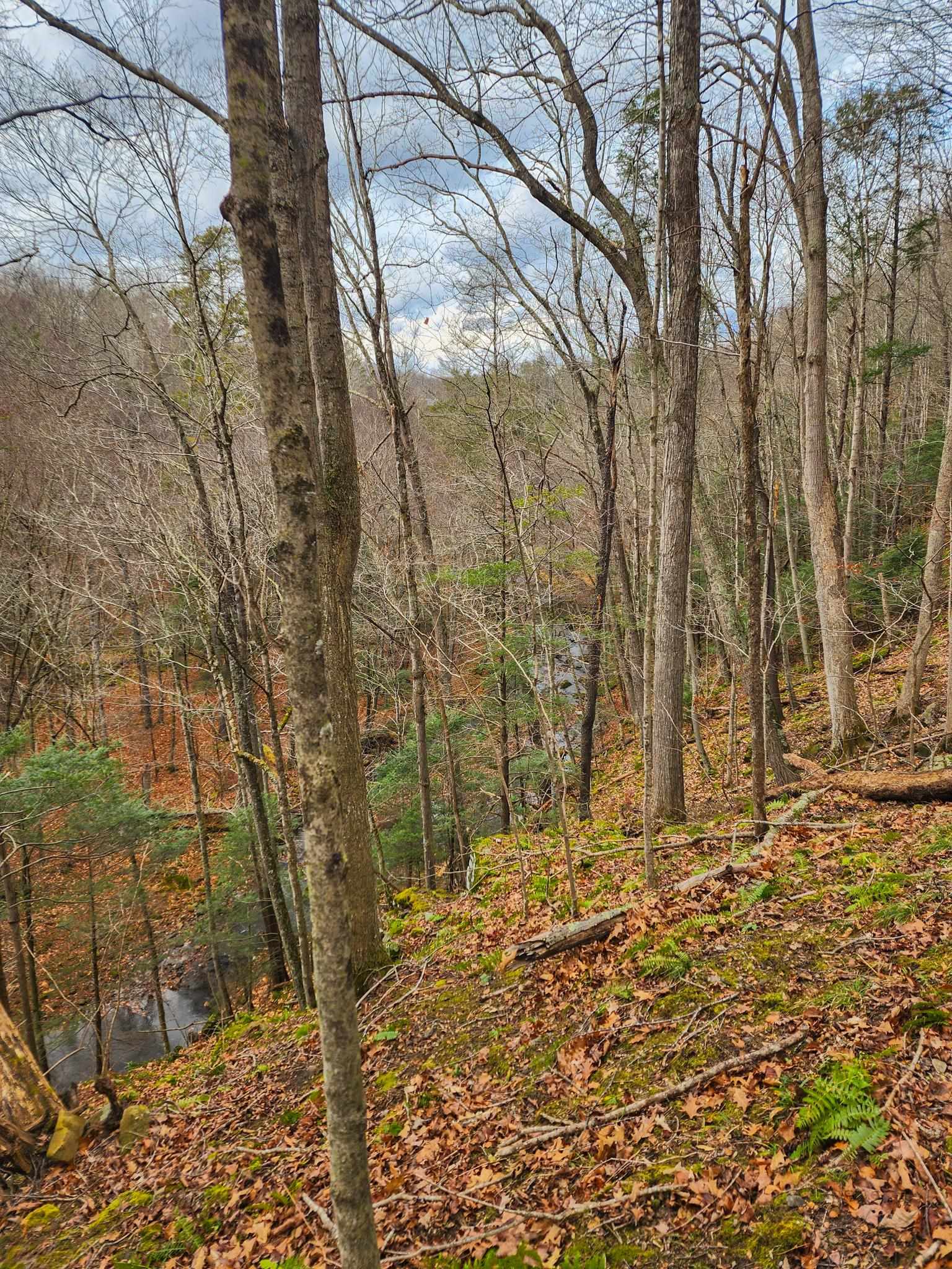 3763 Potomac River Road Monterey, VA 24465 - Photo 9 of 23 a backyard of a building