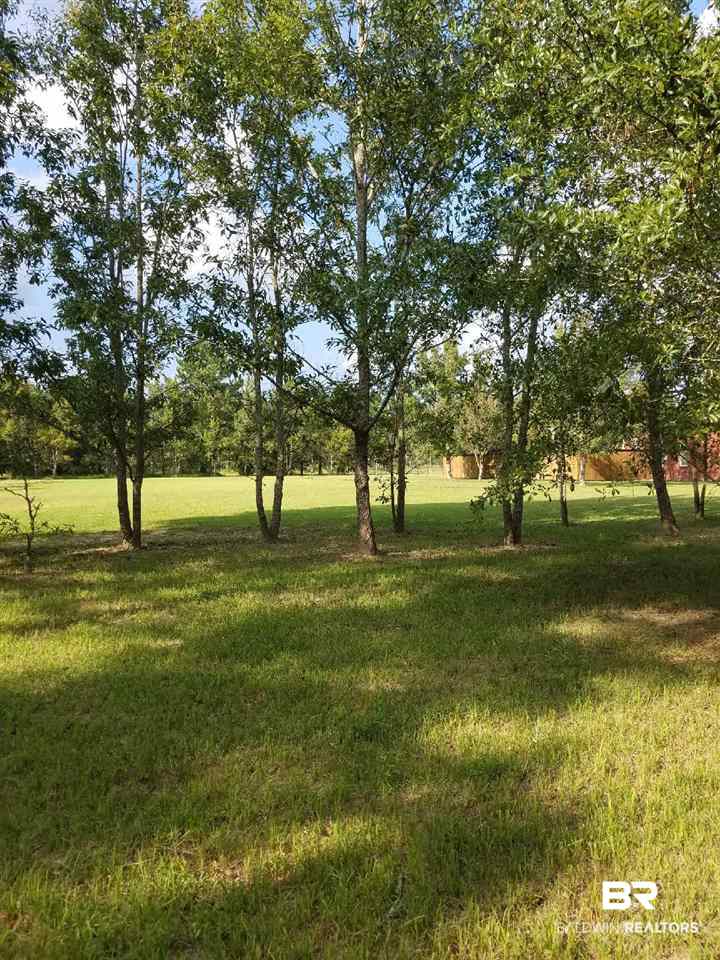 62 South County Road Robertsdale, AL 36567 - Photo 8 of 8