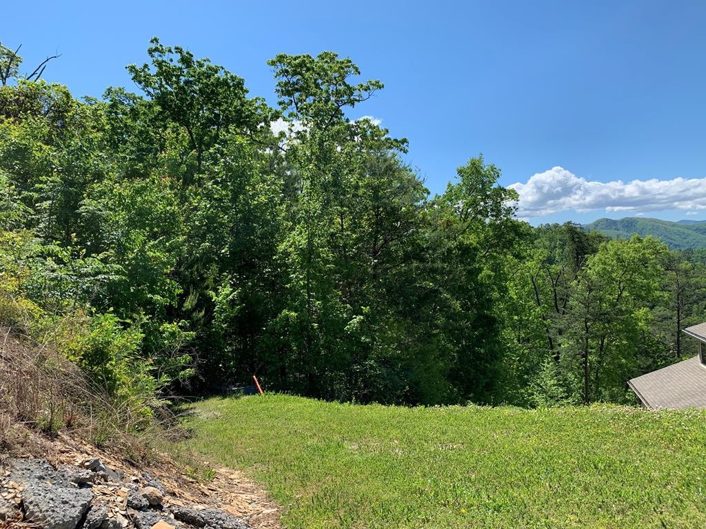 83 Redtail Road Sevierville, TN 37862 - Photo 1 of 6