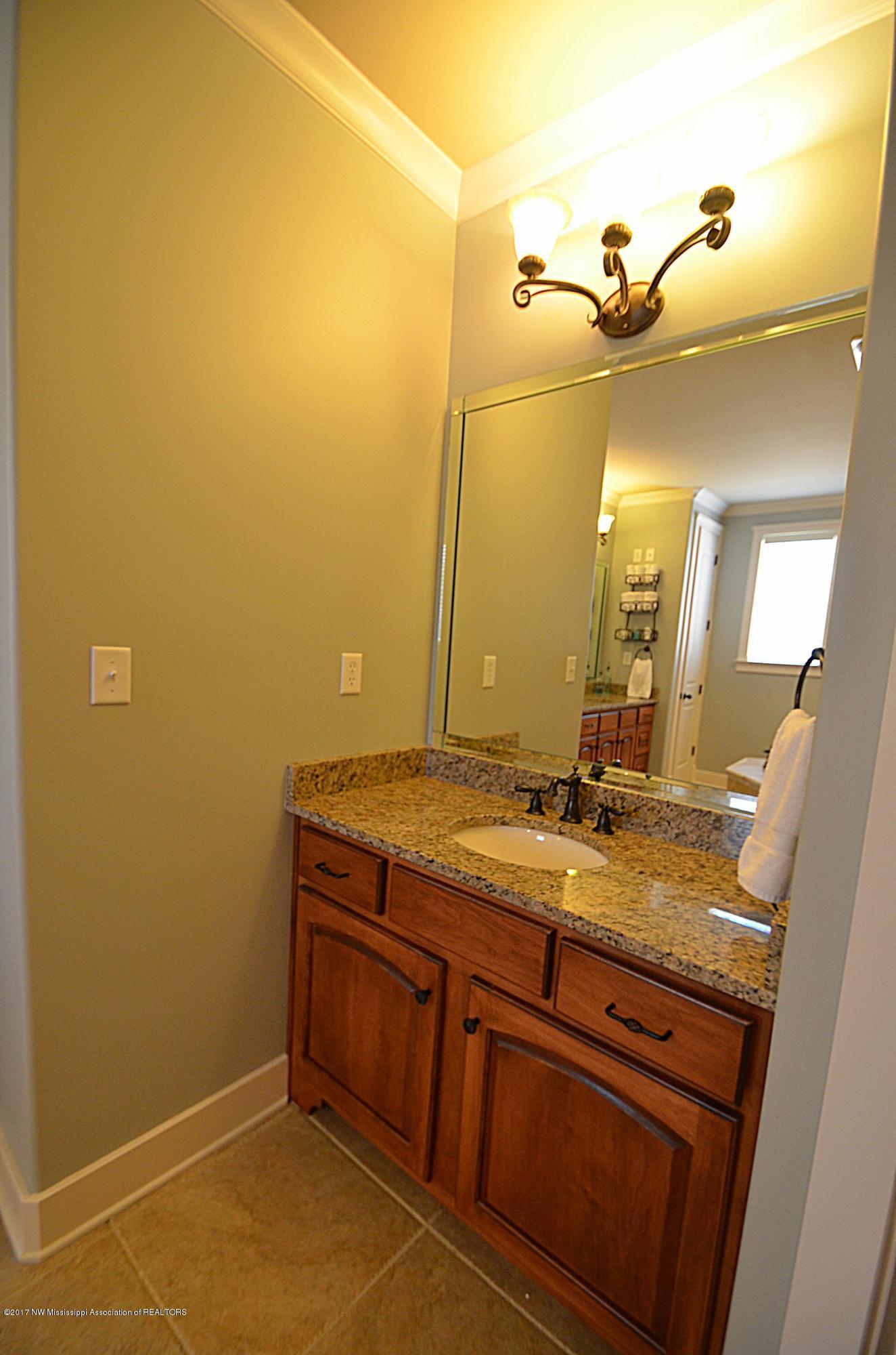 1825 Radley Road Nesbit, MS 38651 - Photo 18 of 44 Master bath vanity_pe