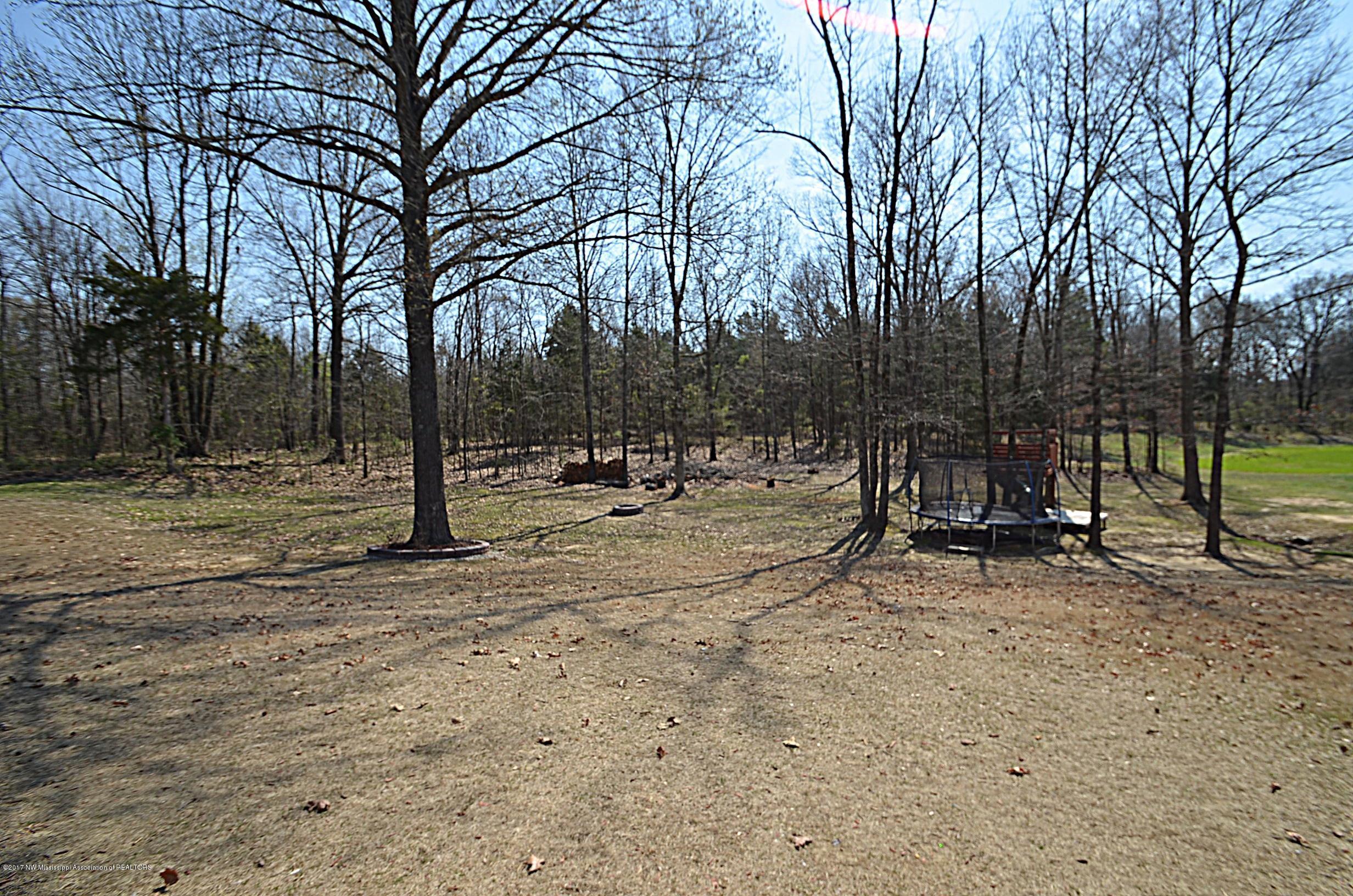 1825 Radley Road Nesbit, MS 38651 - Photo 44 of 44 Back yard_pe