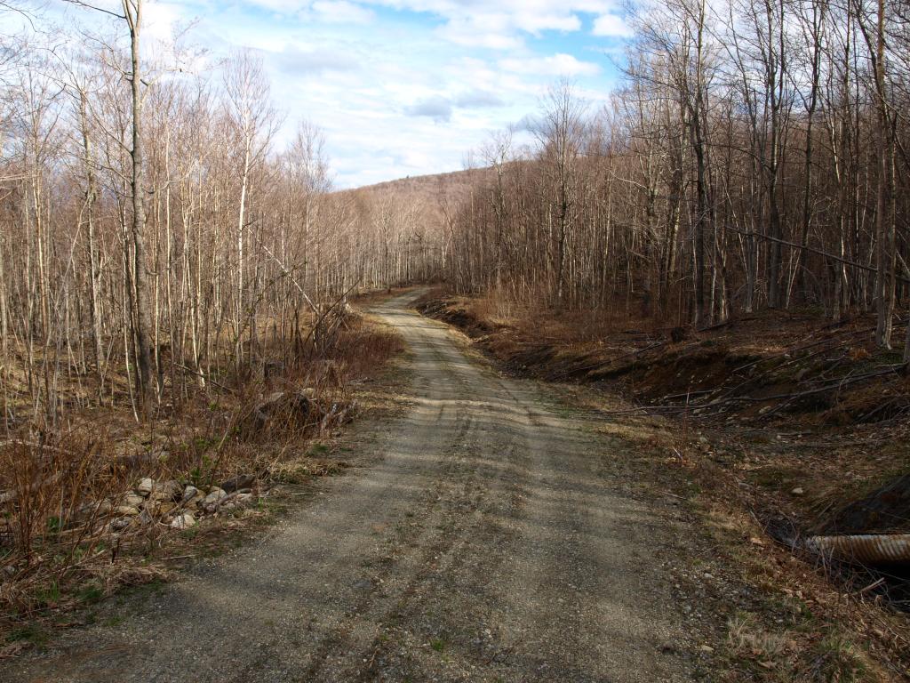 1767.5 Stevens Mill Road Jay, VT 05859 - Photo 1 of 6 Gallery Image 1