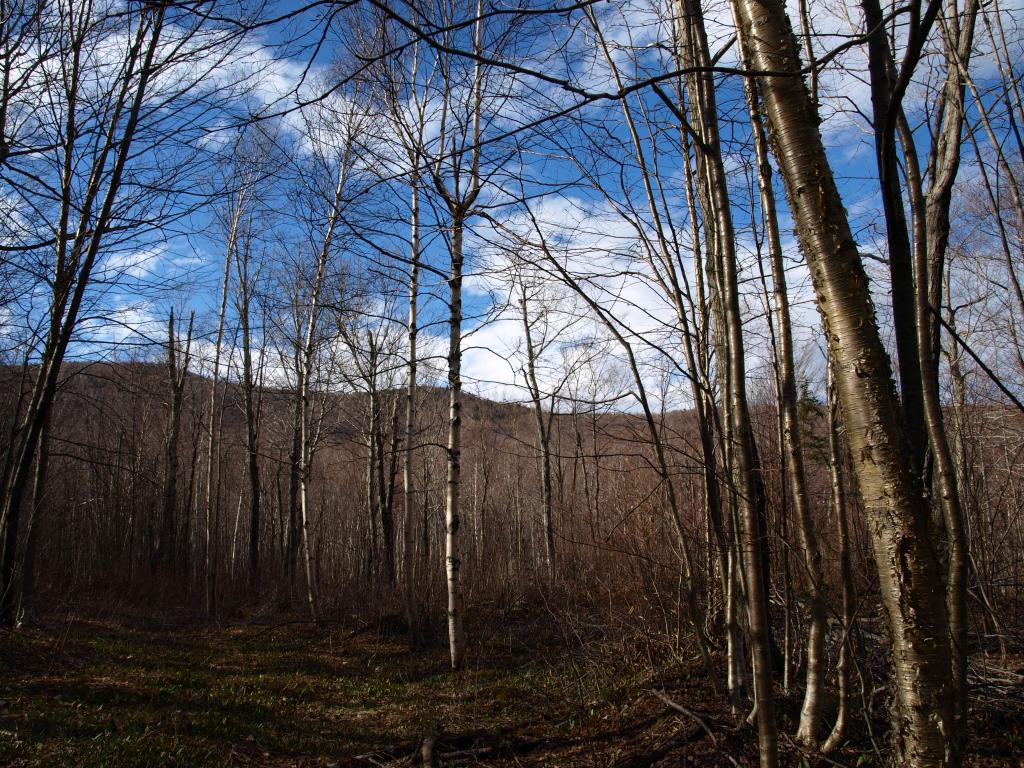 1767.5 Stevens Mill Road Jay, VT 05859 - Photo 2 of 6 Gallery Image 2