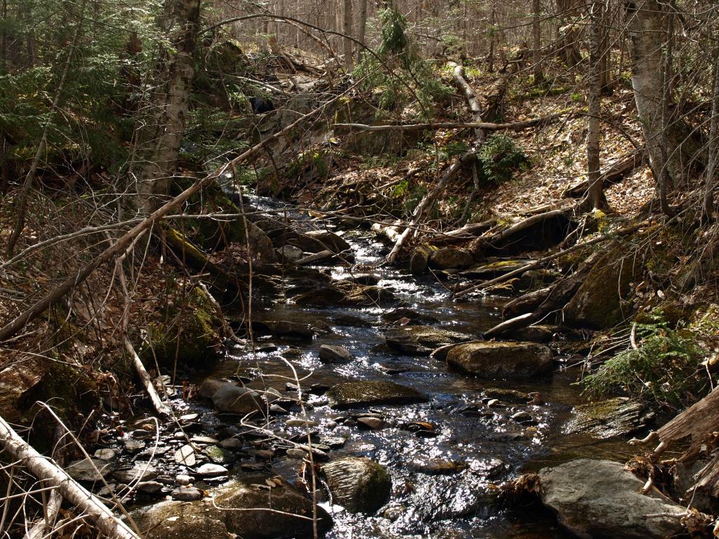 1767.5 Stevens Mill Road Jay, VT 05859 - Photo 3 of 6 Gallery Image 3