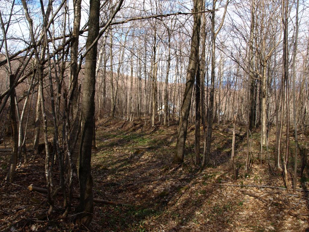 1767.5 Stevens Mill Road Jay, VT 05859 - Photo 4 of 6 Gallery Image 4