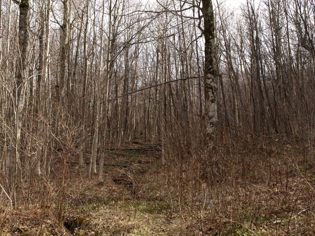 1767.5 Stevens Mill Road Jay, VT 05859 - Photo 5 of 6 Gallery Image 5