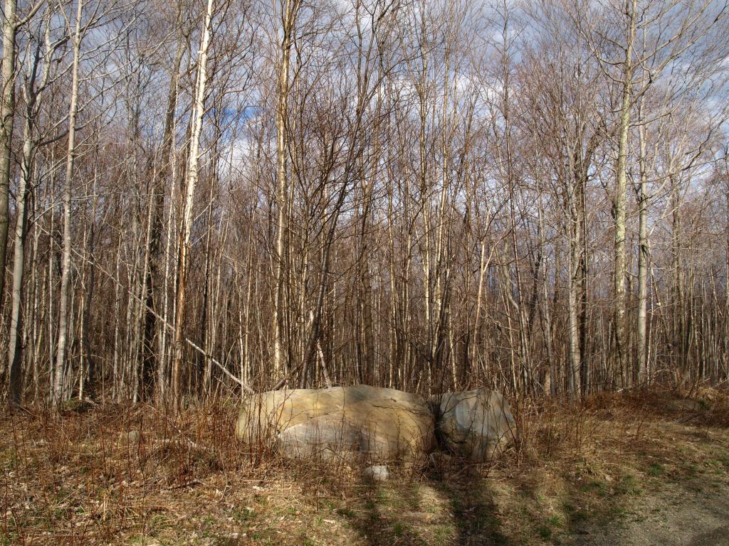 1767.5 Stevens Mill Road Jay, VT 05859 - Photo 6 of 6 Gallery Image 6