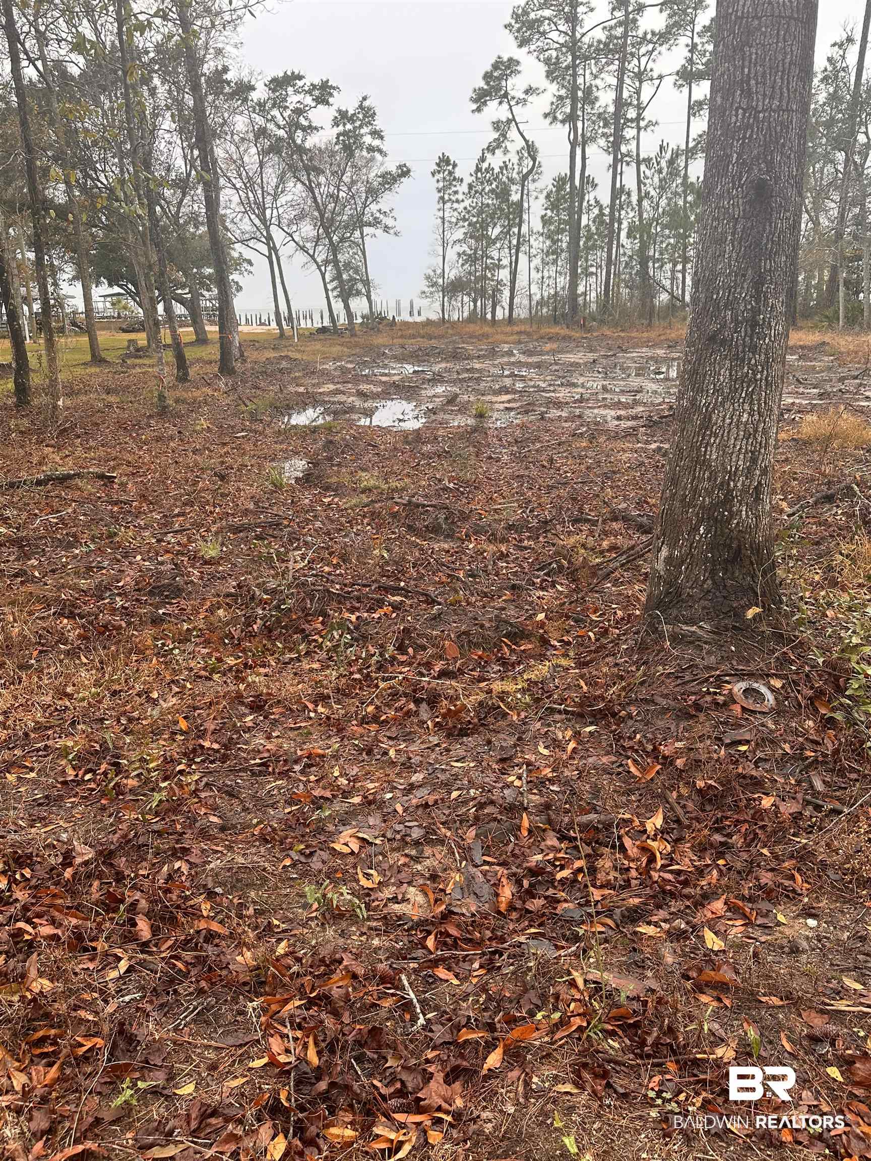 9311 South Bay Street Foley, AL 36535 - Photo 2 of 12