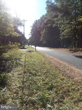 a view of a yard