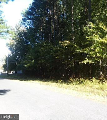 St Georges Park Road Tall Timbers, MD 20690 - Photo 9 of 9 a view of a yard