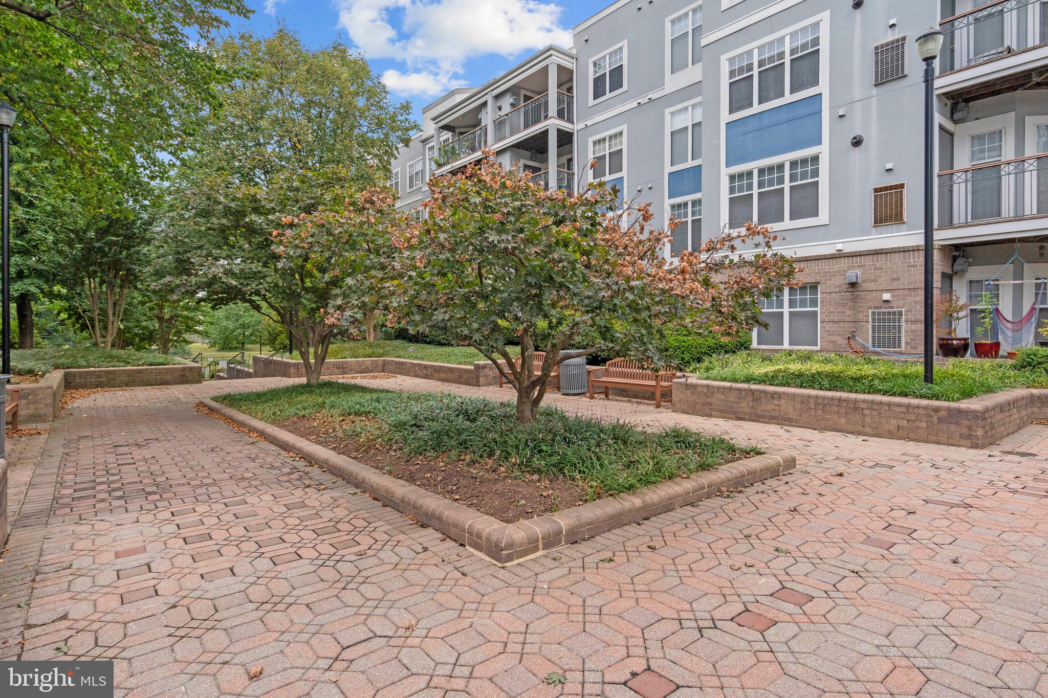 5565 Seminary Road, Unit 206 Falls Church, VA 22041 - Photo 50 of 53 Gallery Image 50