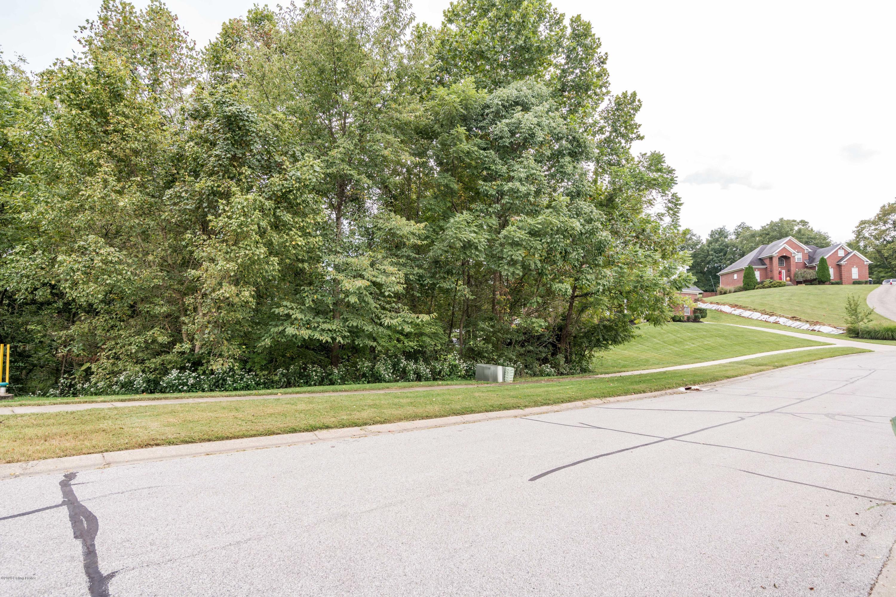 13631 Hunters Ridge Court Prospect, KY 40059 - Photo 73 of 78 073-150-81