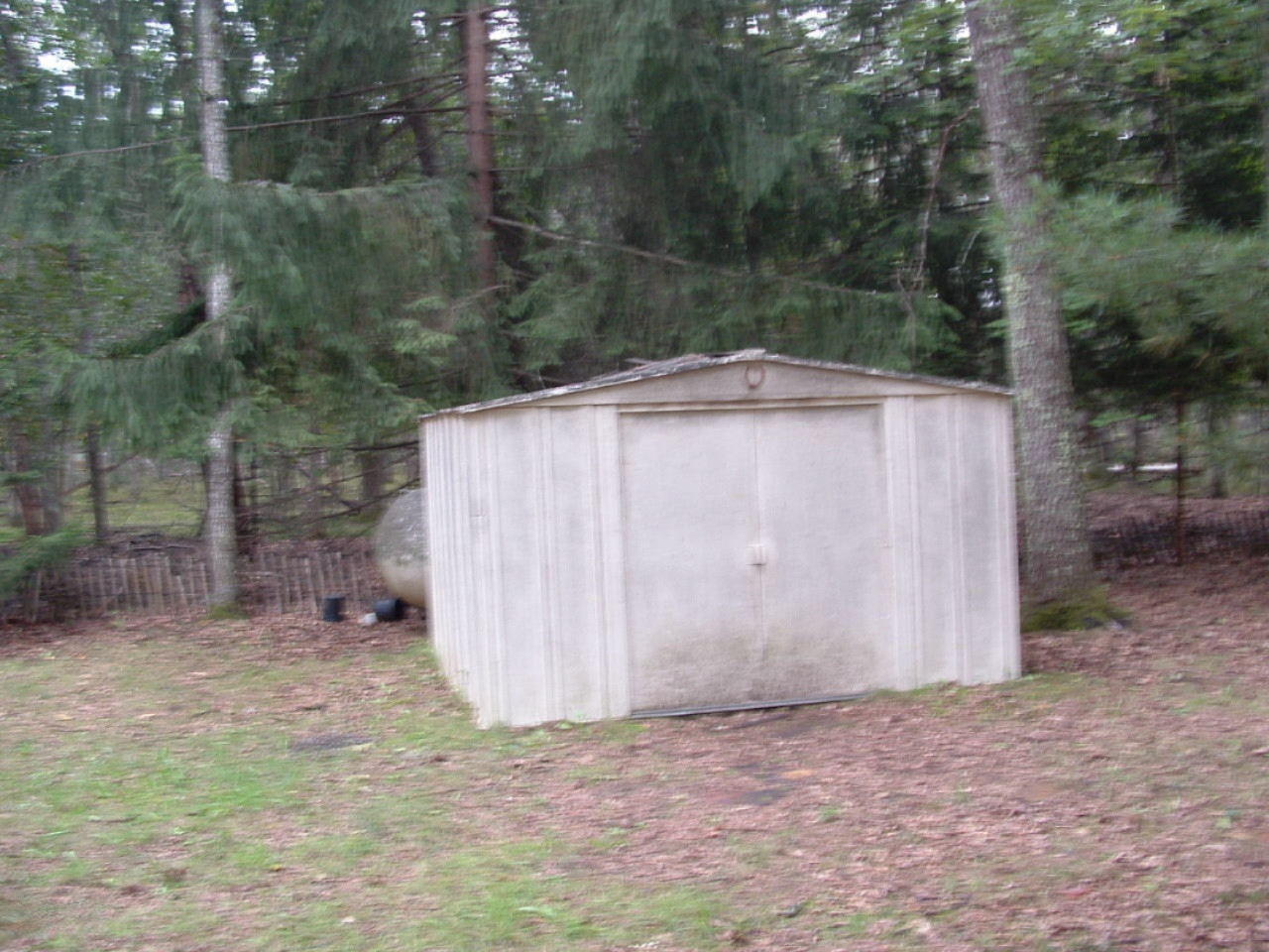 18791 Cravens Road Wellston, MI 49689 - Photo 13 of 14 DSCF0036