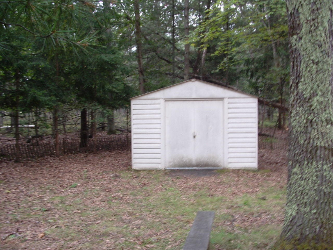18791 Cravens Road Wellston, MI 49689 - Photo 14 of 14 DSCF0037