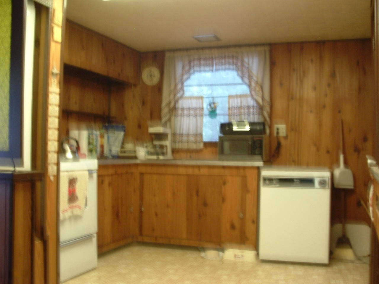 18791 Cravens Road Wellston, MI 49689 - Photo 3 of 14 DSCF0025