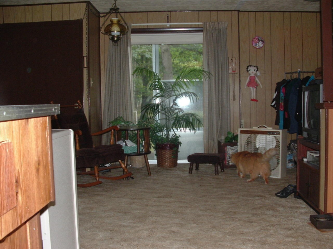 18791 Cravens Road Wellston, MI 49689 - Photo 6 of 14 DSCF0028