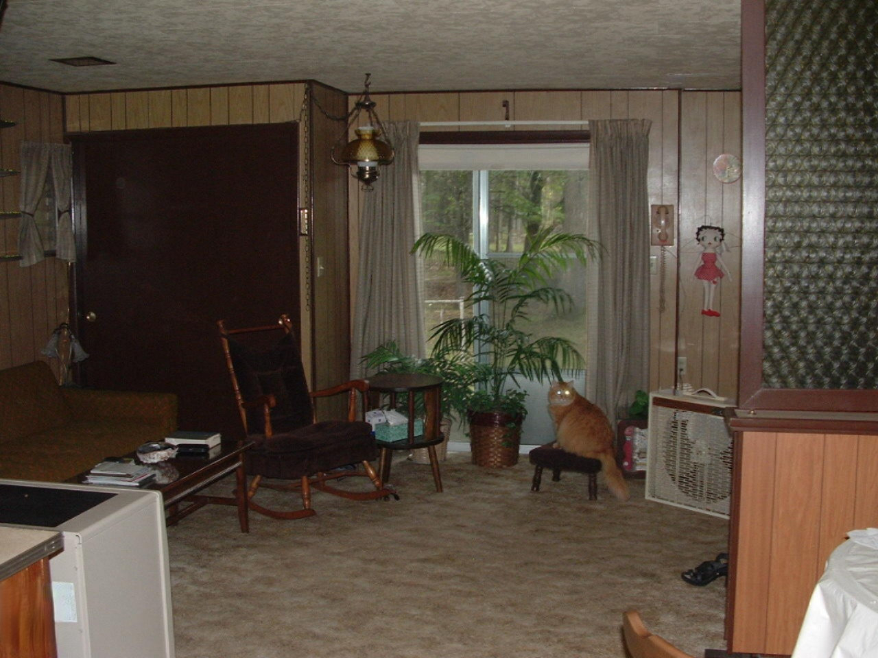 18791 Cravens Road Wellston, MI 49689 - Photo 7 of 14 DSCF0029