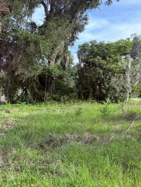 604 Cr Bushnell Bushnell, FL 33513 - Photo 5 of 23