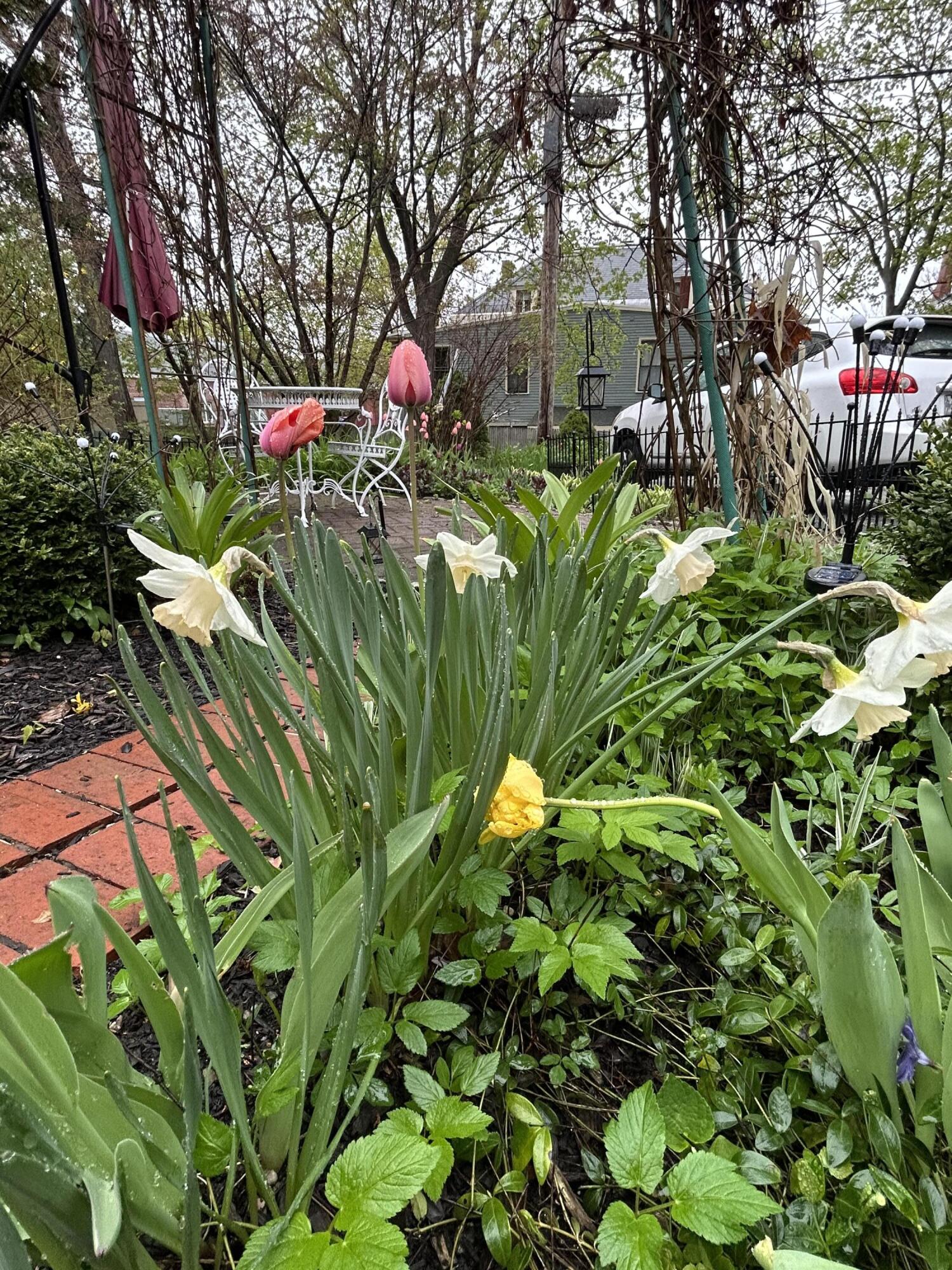 49 Deering Street Portland, ME 04101 - Photo 93 of 99 IMG_4153