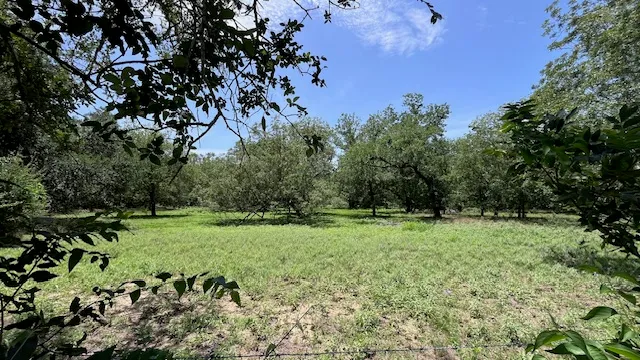 $655,000 | 344-343 Bateman Road, Red Rock, TX 78662