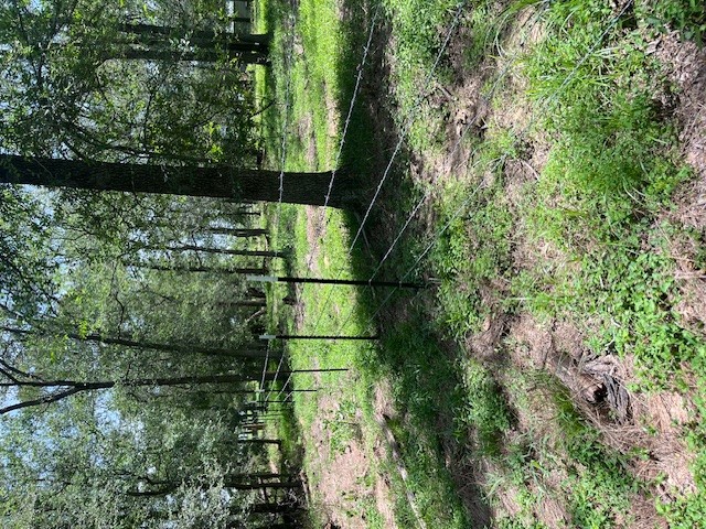 344-343 Bateman Road Red Rock, TX 78662 - Photo 12 of 13