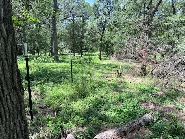 344-343 Bateman Road Red Rock, TX 78662 - Photo 13 of 13