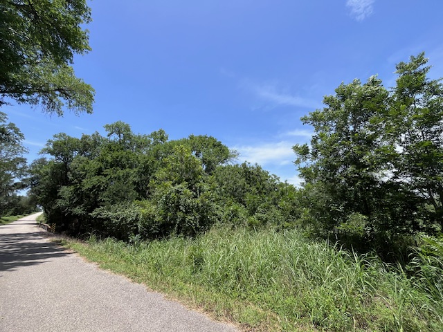 344-343 Bateman Road Red Rock, TX 78662 - Photo 2 of 13