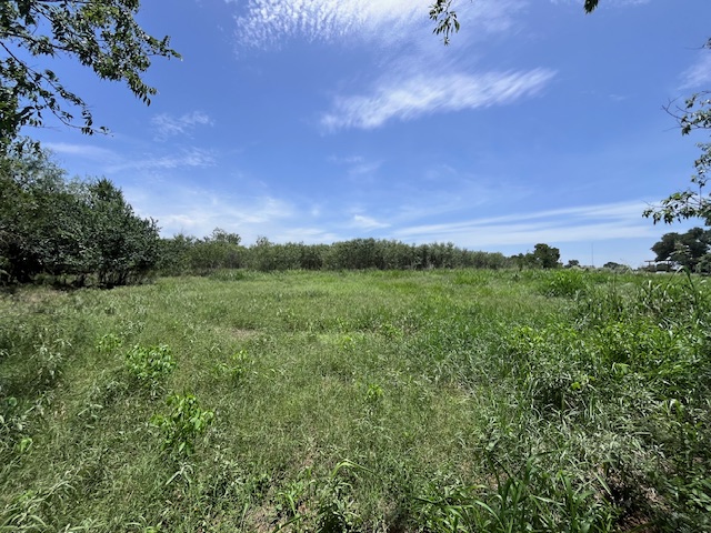 344-343 Bateman Road Red Rock, TX 78662 - Photo 4 of 13