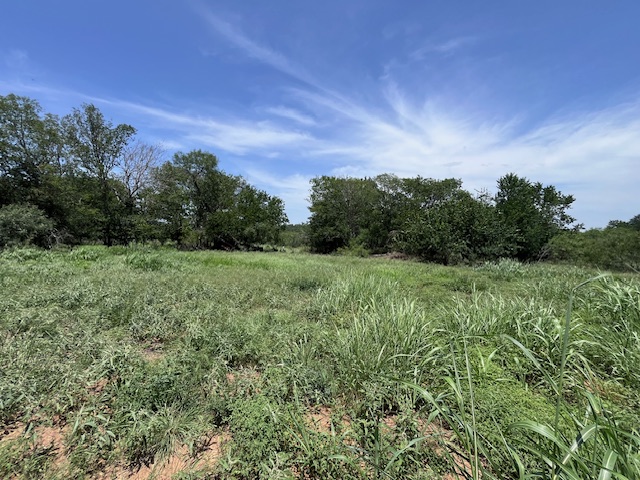 344-343 Bateman Road Red Rock, TX 78662 - Photo 5 of 13