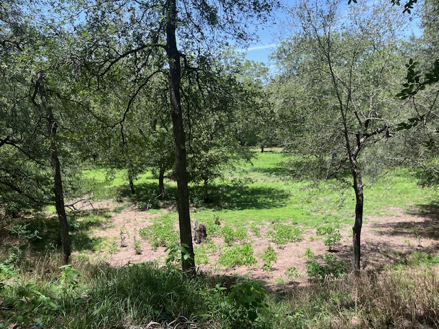 344-343 Bateman Road Red Rock, TX 78662 - Photo 7 of 13