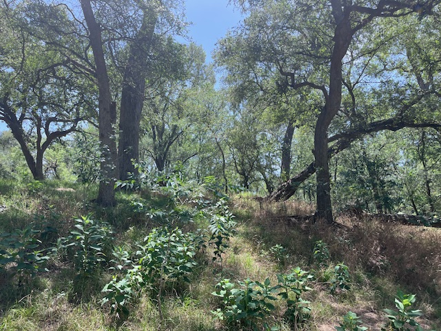 344-343 Bateman Road Red Rock, TX 78662 - Photo 8 of 13