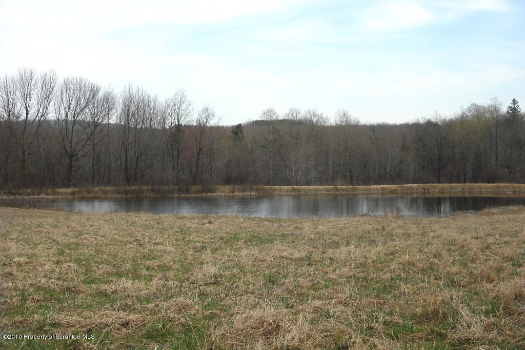 290 4037 State Route Thompson, PA 18465 - Photo 2 of 8 Gallery Image 2