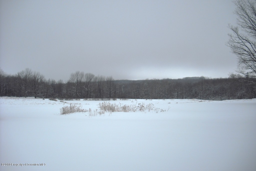 290 4037 State Route Thompson, PA 18465 - Photo 7 of 8 Gallery Image 7