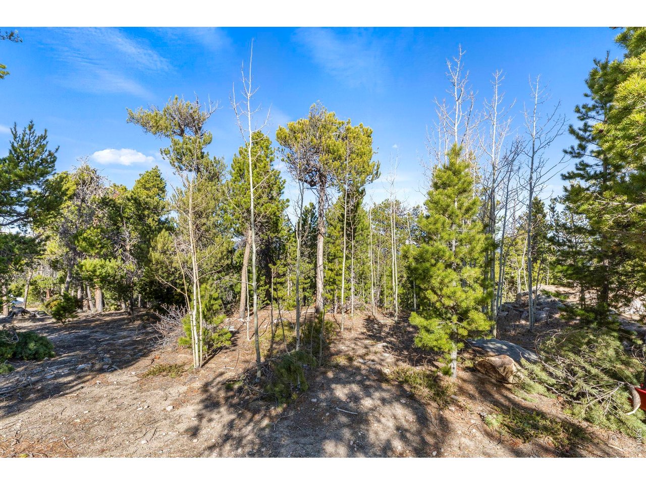 11 Randall Ridge Road Black Hawk, CO 80422 - Photo 21 of 31