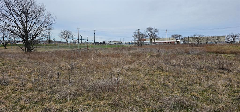 a view of large trees with outdoor space