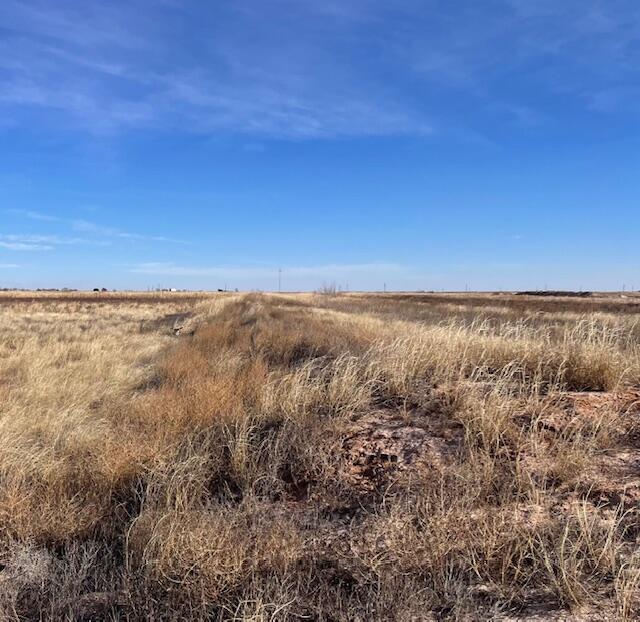 10 Lovebird Road Lubbock, TX 79407 - Photo 2 of 4 IMG_9300