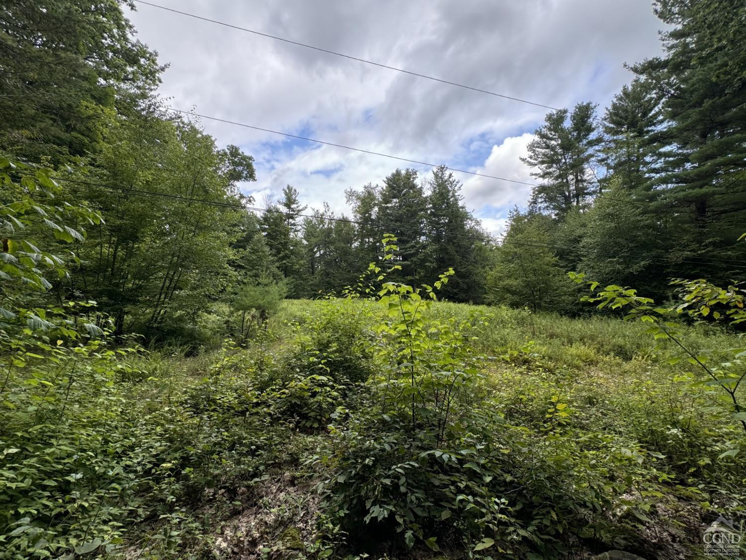 200 Fire Hill Road Austerlitz, NY 12165 - Photo 1 of 1 Photo 1
