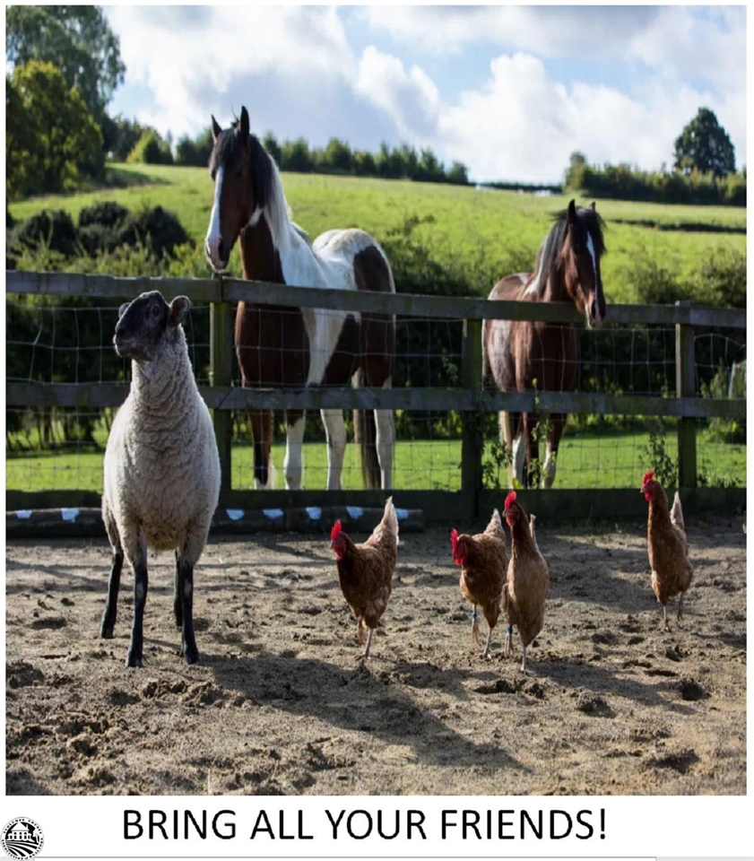 18191 Woodham Carne Road Sonora, CA 95370 - Photo 21 of 47 a view of outdoor space with seating
